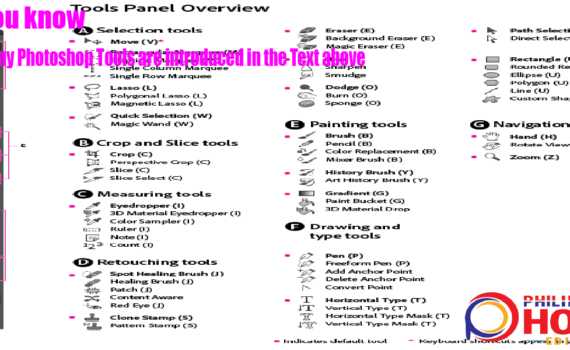 quanti strumenti di Photoshop sono introdotti nel testo sopra