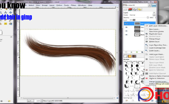 How to add hair in gimp