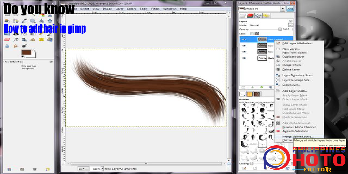 How to add hair in gimp