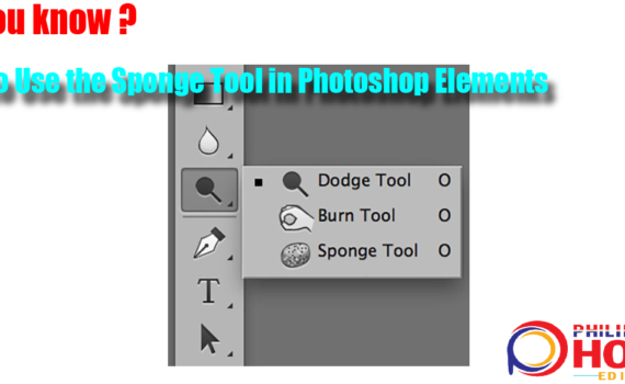 วิธีใช้เครื่องมือฟองน้ำใน Photoshop Elements