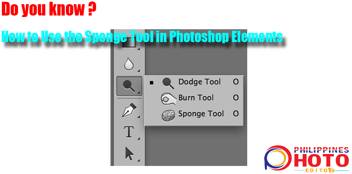 Het sponsgereedschap gebruiken in Photoshop Elements