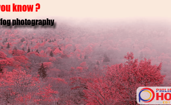 pink fog photography