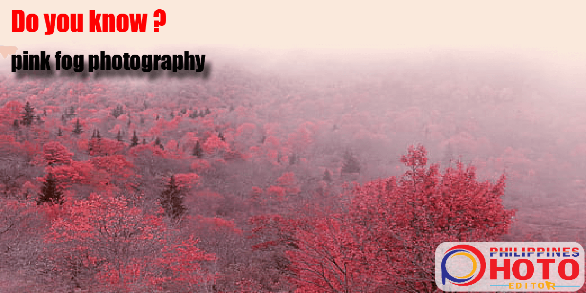 pink fog photography