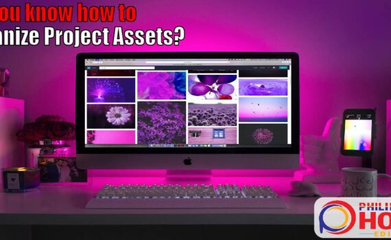 Organize Project Assets