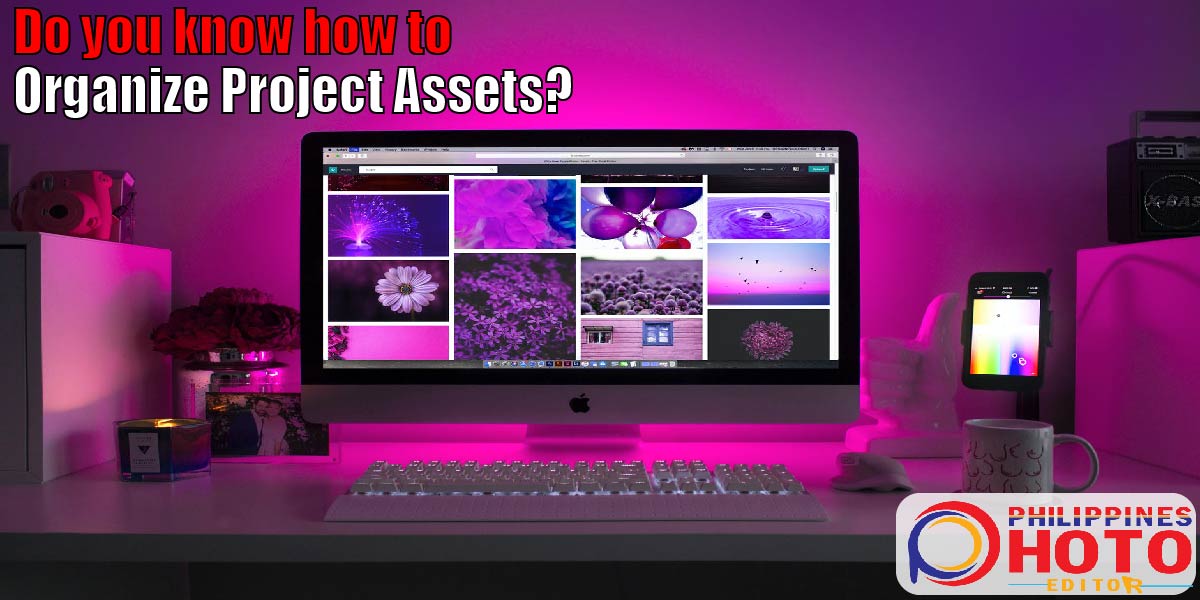 Organize Project Assets